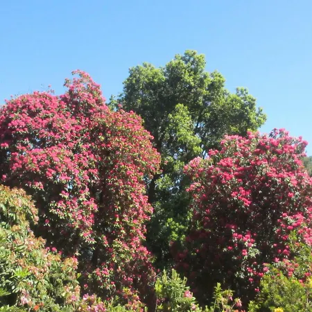 Apartman Apartmentslagodicomo *